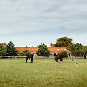 Het Zwaluwnest Ferienhaus Middelkerke